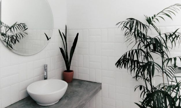 PLANTAS PARA DAR VIDA A TU BAÑO (I)