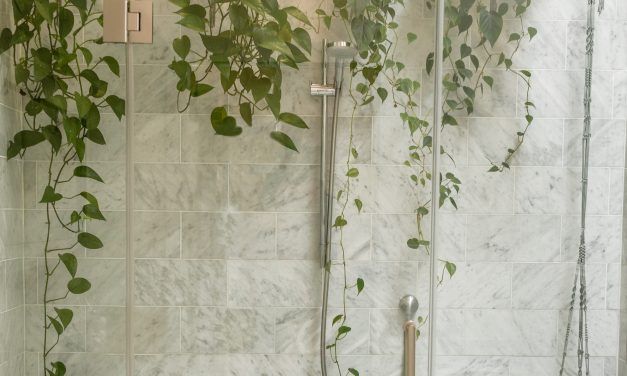 PLANTAS PARA DAR VIDA A TU BAÑO (II)