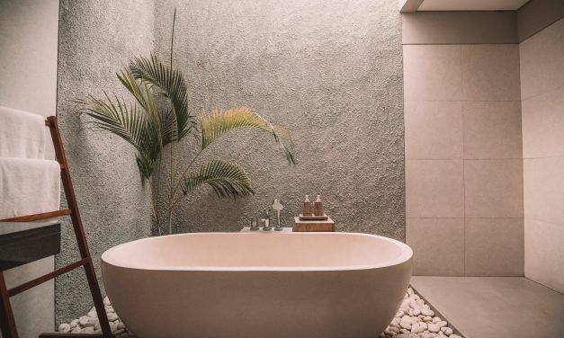 PLANTAS PARA DAR VIDA A TU BAÑO (III)